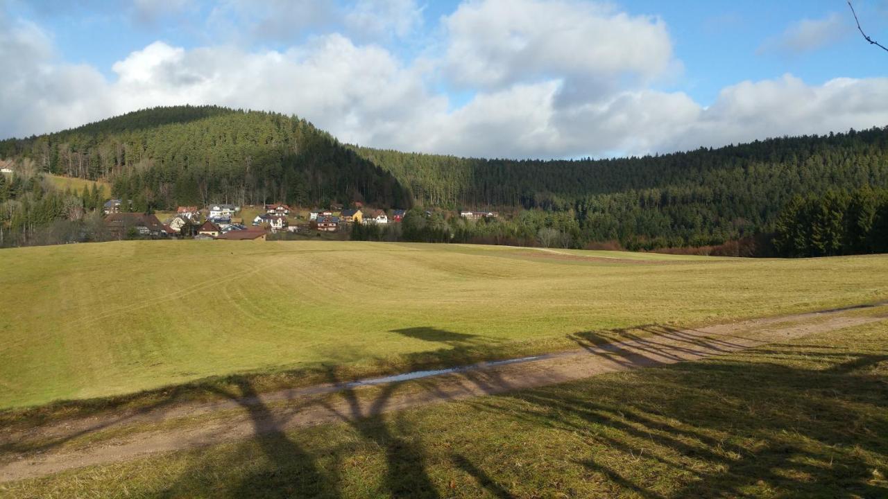 Oeko-Landhotel Basler Hof Lauterbach  Esterno foto