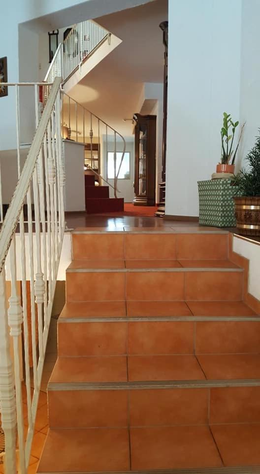 Oeko-Landhotel Basler Hof Lauterbach  Esterno foto